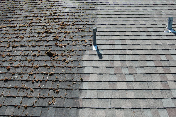 Roof Cleaning Company In Sutton